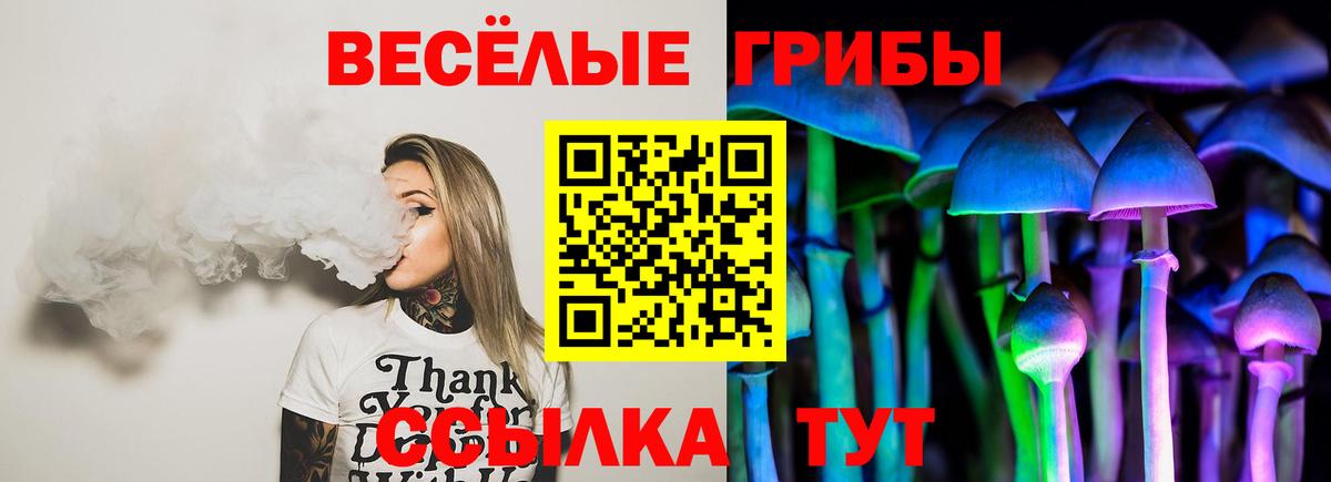 Галлюциногенные грибы GOLDEN TEACHER  Вход с VPN  Барабинск 
